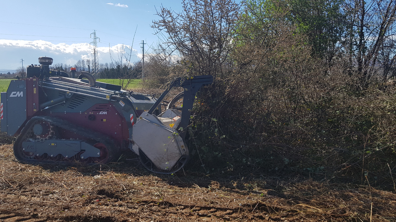 Mini chargeuse CM Crusher Multisikid RC: photos 12 Mini chargeuse CM Crusher Multisikid RC: photos 12