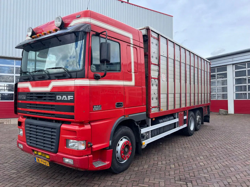 DAF XF FAR 95XF.380 EURO 2 - Camion bétaillère: photos 1 DAF XF FAR 95XF.380 EURO 2 - Camion bétaillère: photos 1