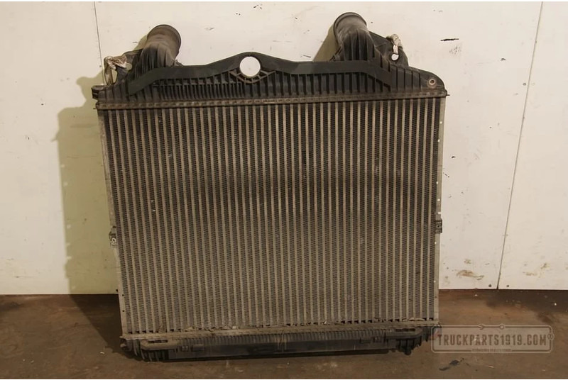 MAN TGA Cooling System Interkoeler TGA - Radiateur pour Camion: photos 1 MAN TGA Cooling System Interkoeler TGA - Radiateur pour Camion: photos 1