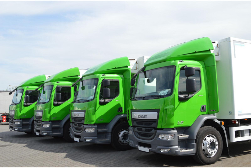 DAF LF 320 - Camion frigorifique: photos 3 DAF LF 320 - Camion frigorifique: photos 3