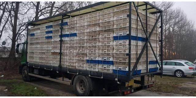 Iveco Eurocargo 180E28 - Camion bétaillère: photos 3 Iveco Eurocargo 180E28 - Camion bétaillère: photos 3