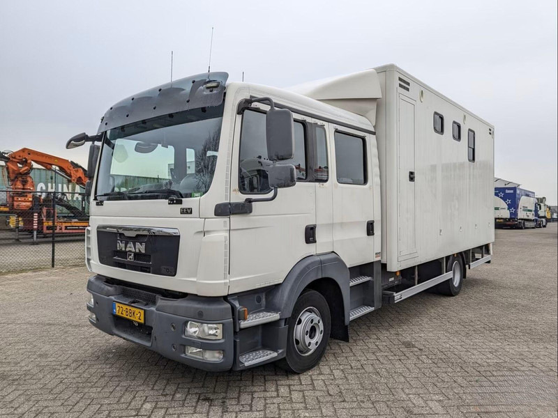 MAN TGL 12.180 - Doka Horse transporter - Camion chevaux: photos 1 MAN TGL 12.180 - Doka Horse transporter - Camion chevaux: photos 1