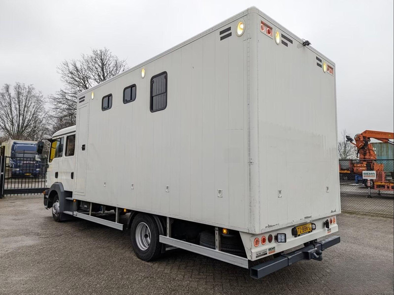 MAN TGL 12.180 - Doka Horse transporter - Camion chevaux: photos 4 MAN TGL 12.180 - Doka Horse transporter - Camion chevaux: photos 4