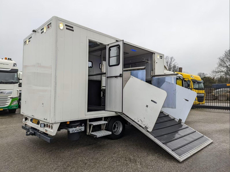 MAN TGL 12.180 - Doka Horse transporter - Camion chevaux: photos 3 MAN TGL 12.180 - Doka Horse transporter - Camion chevaux: photos 3