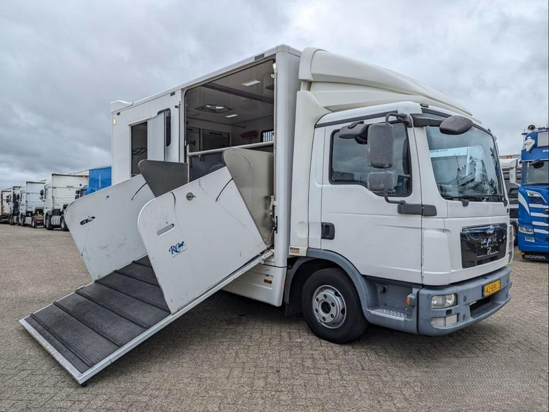 MAN TGL 12.250 - Horse transporter - Camion chevaux: photos 2 MAN TGL 12.250 - Horse transporter - Camion chevaux: photos 2