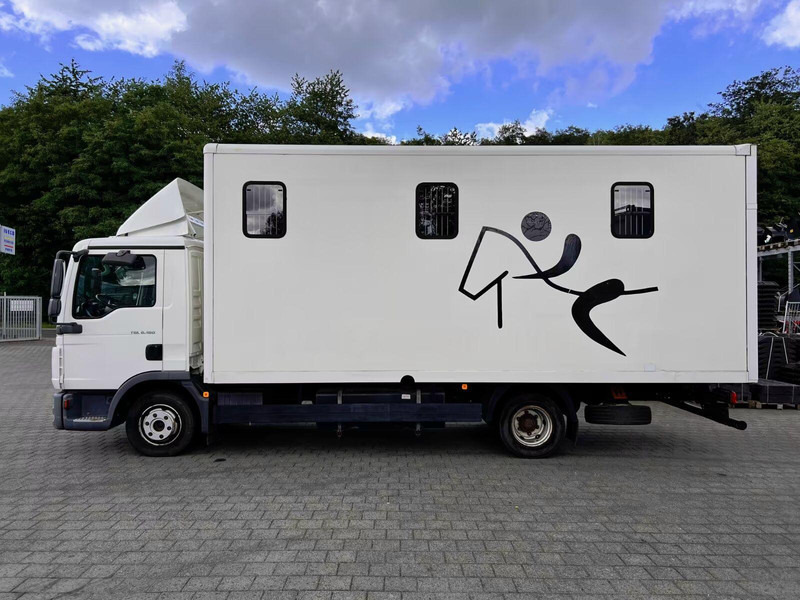 MAN TGL 8.180 - Horse transporter - Camion chevaux: photos 3 MAN TGL 8.180 - Horse transporter - Camion chevaux: photos 3