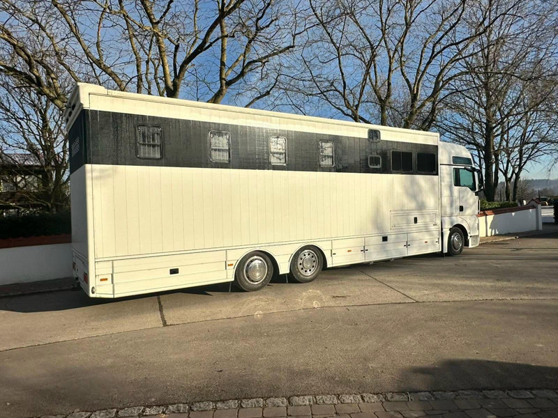 MAN TGX 26.440 - Horse transporter - Camion chevaux: photos 3 MAN TGX 26.440 - Horse transporter - Camion chevaux: photos 3