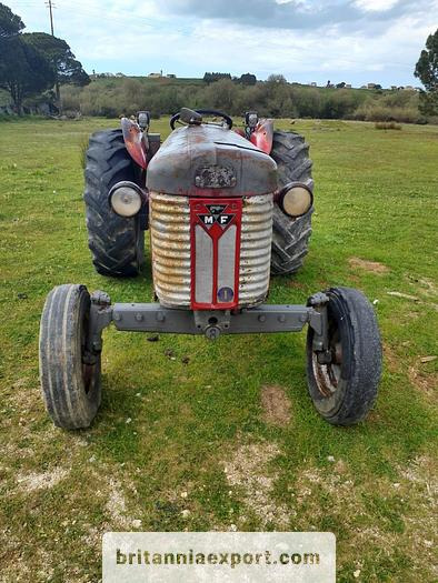 Massey Ferguson 65 | 4 cylinder diesel | disc brakes - Tracteur agricole: photos 2 Massey Ferguson 65 | 4 cylinder diesel | disc brakes - Tracteur agricole: photos 2