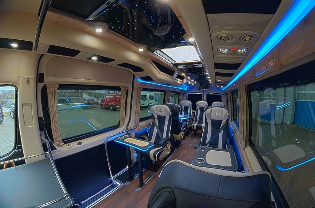 Minibus, Transport de personnes Mercedes-Benz Sprinter 319 VIP 8+1: photos 7