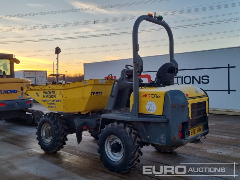 2017 Wacker Neuson 3001 - Mini tombereau: photos 3 2017 Wacker Neuson 3001 - Mini tombereau: photos 3