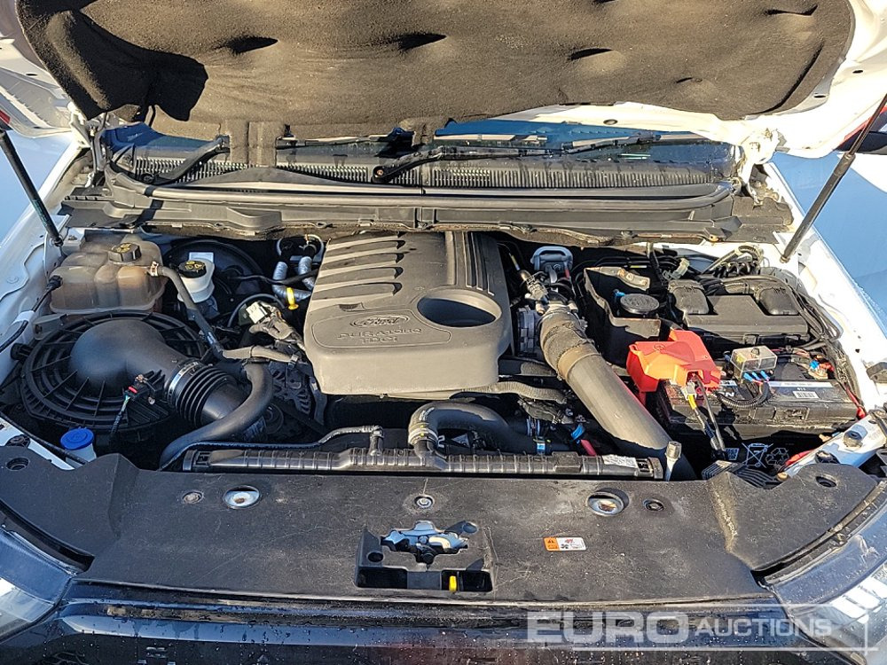 Pick-up 2018 Ford Ranger Wildtrak: photos 13