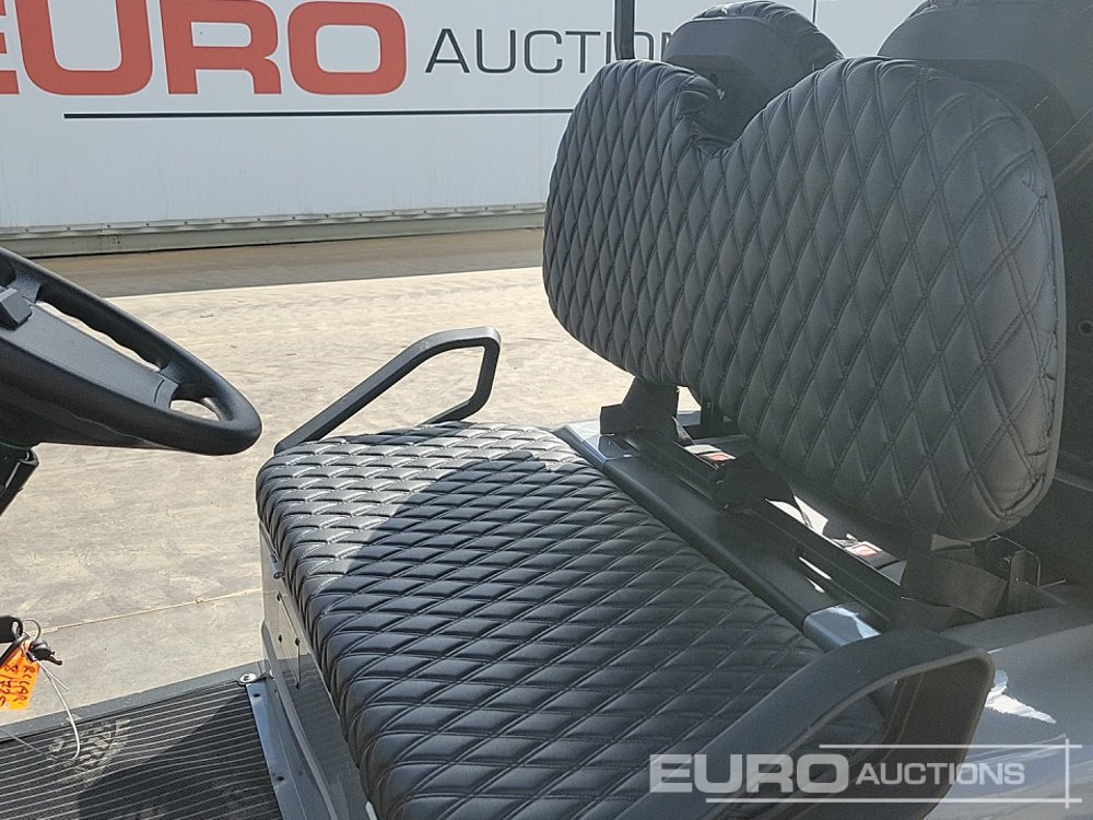 Voiturette de golf 2024 Raccoon RC-G4.0: photos 15