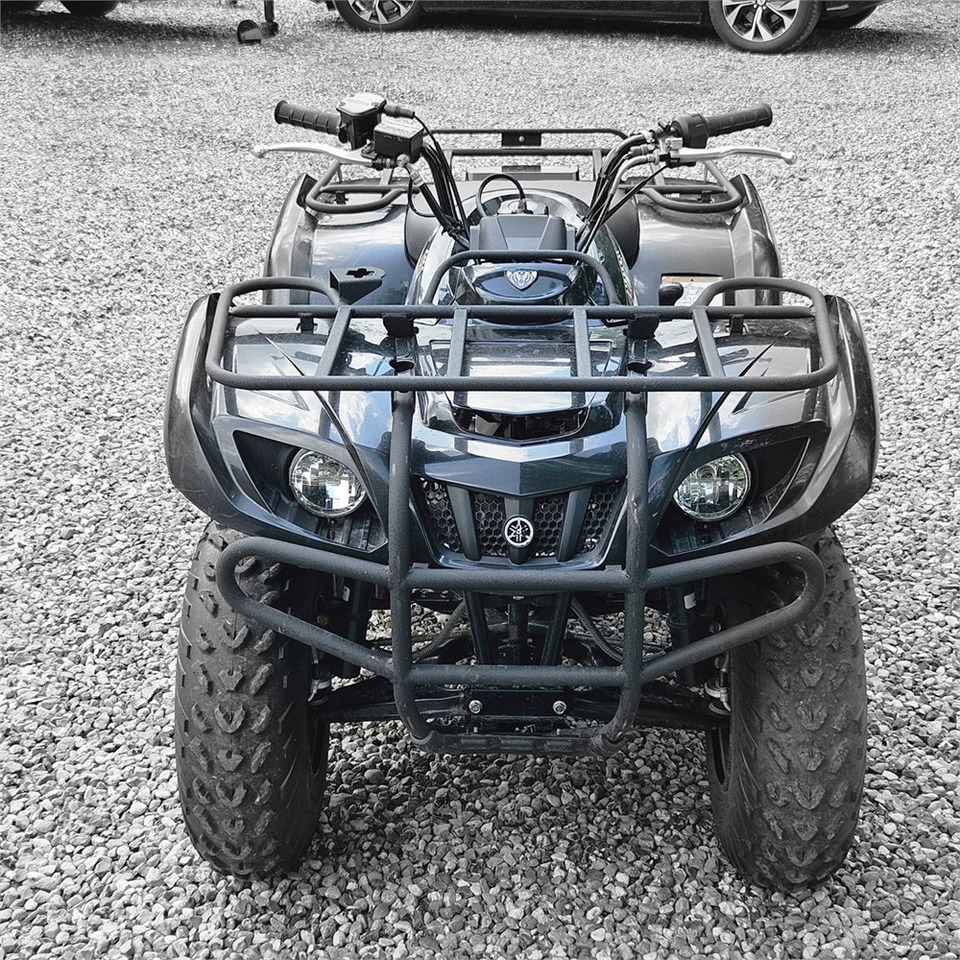 Yamaha YFM 250 - Quadricycle: photos 2 Yamaha YFM 250 - Quadricycle: photos 2