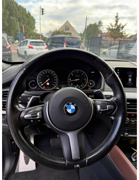 SUV BMW X6 Xdrive 30D: photos 17