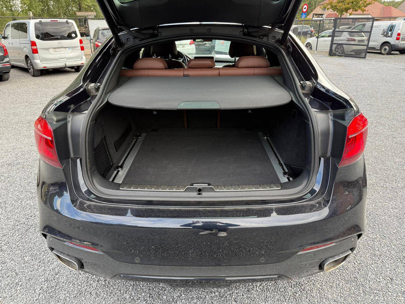 SUV BMW X6 Xdrive 30D: photos 8