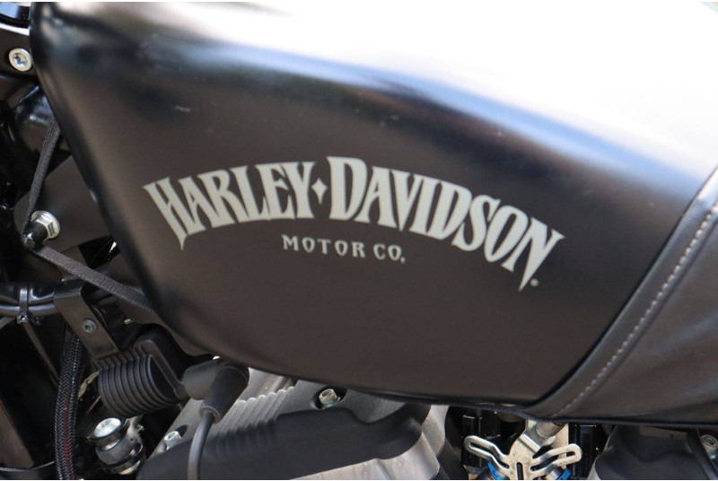 Motocyclette Harley-Davidson Sportster 883N Iron: photos 19 Motocyclette Harley-Davidson Sportster 883N Iron: photos 19