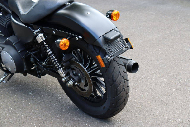 Motocyclette Harley-Davidson Sportster 883N Iron: photos 18 Motocyclette Harley-Davidson Sportster 883N Iron: photos 18