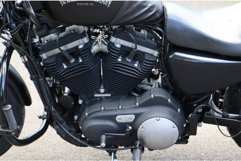 Motocyclette Harley-Davidson Sportster 883N Iron: photos 14 Motocyclette Harley-Davidson Sportster 883N Iron: photos 14