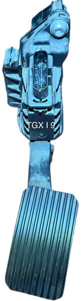 MAN 2019 - Pédale: photos 2 MAN 2019 - Pédale: photos 2