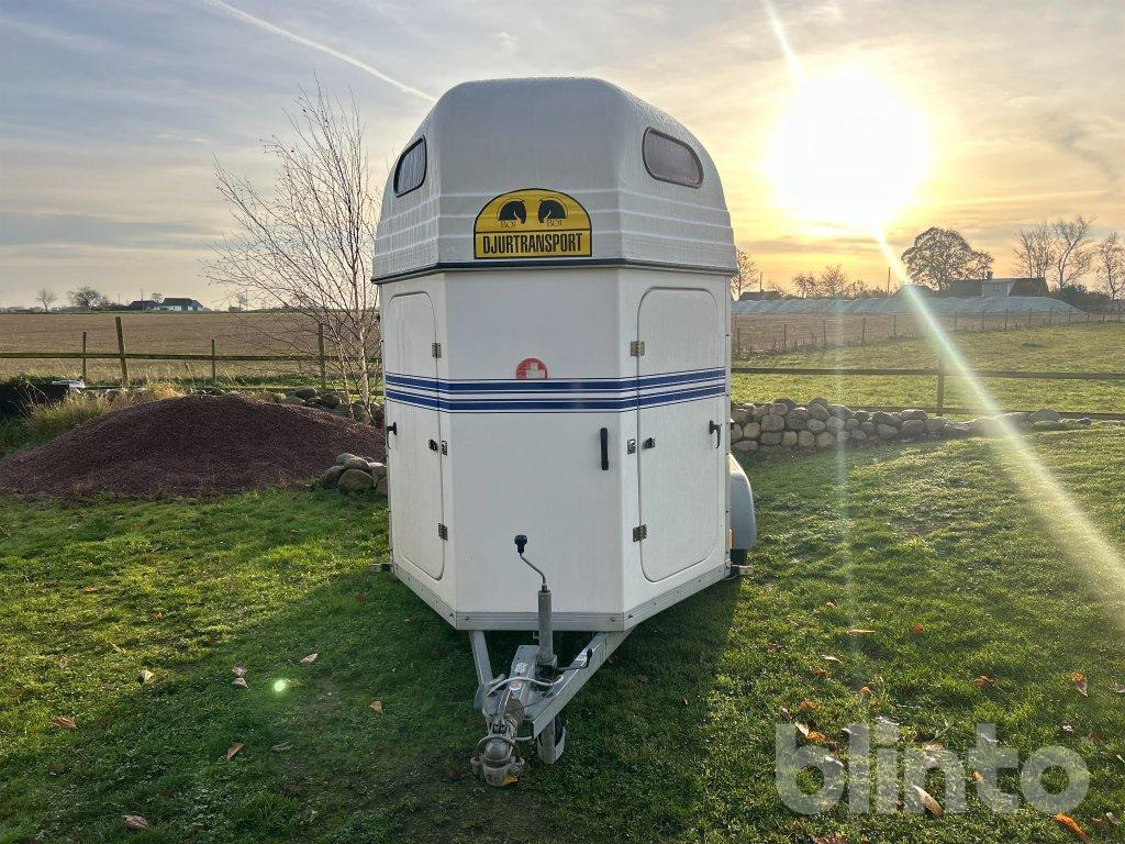 BOJ BRAVO CL - Van chevaux: photos 2 BOJ BRAVO CL - Van chevaux: photos 2