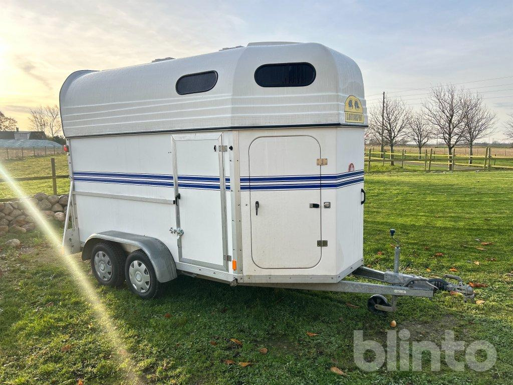 BOJ BRAVO CL - Van chevaux: photos 3 BOJ BRAVO CL - Van chevaux: photos 3