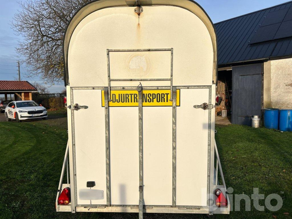 BOJ BRAVO CL - Van chevaux: photos 5 BOJ BRAVO CL - Van chevaux: photos 5