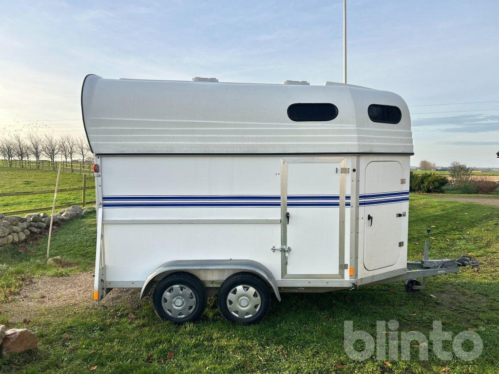 BOJ BRAVO CL - Van chevaux: photos 4 BOJ BRAVO CL - Van chevaux: photos 4