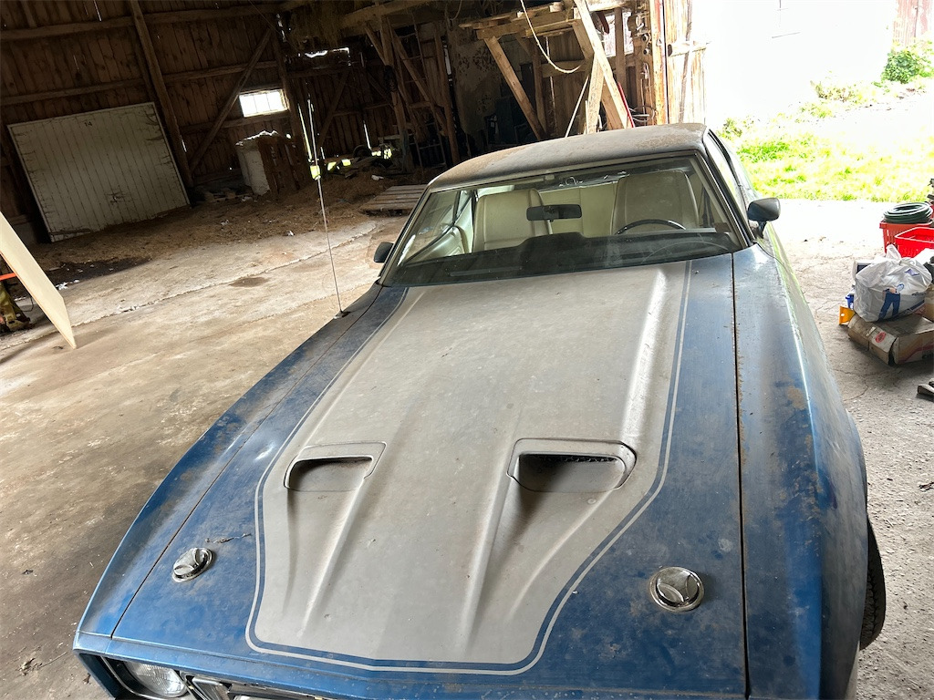 FORD MUSTANG MACH 1 - Voiture: photos 4 FORD MUSTANG MACH 1 - Voiture: photos 4