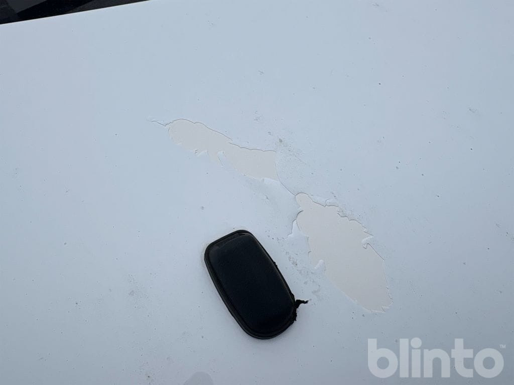 Fourgon utilitaire FORD Transit Custom: photos 20