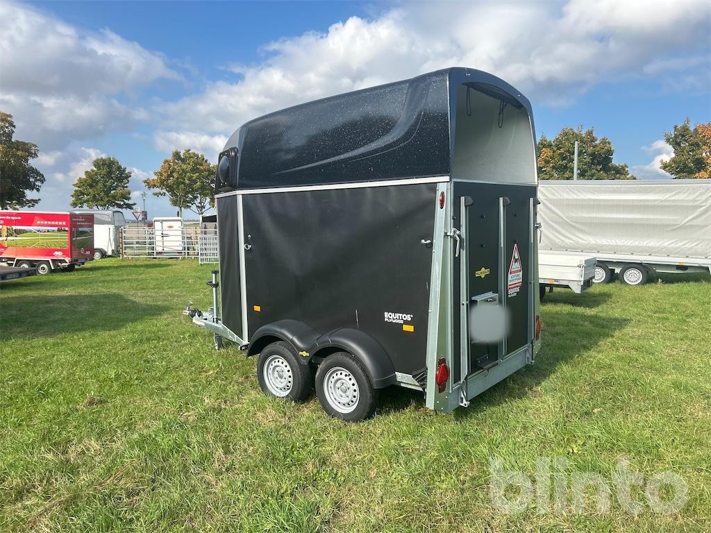 Humbauer Equitos Plywood (2025) - Van chevaux: photos 3 Humbauer Equitos Plywood (2025) - Van chevaux: photos 3