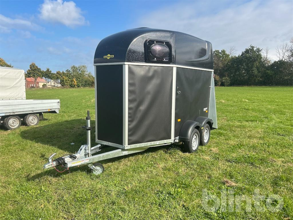 Humbauer Equitos Plywood (2025) - Van chevaux: photos 1 Humbauer Equitos Plywood (2025) - Van chevaux: photos 1