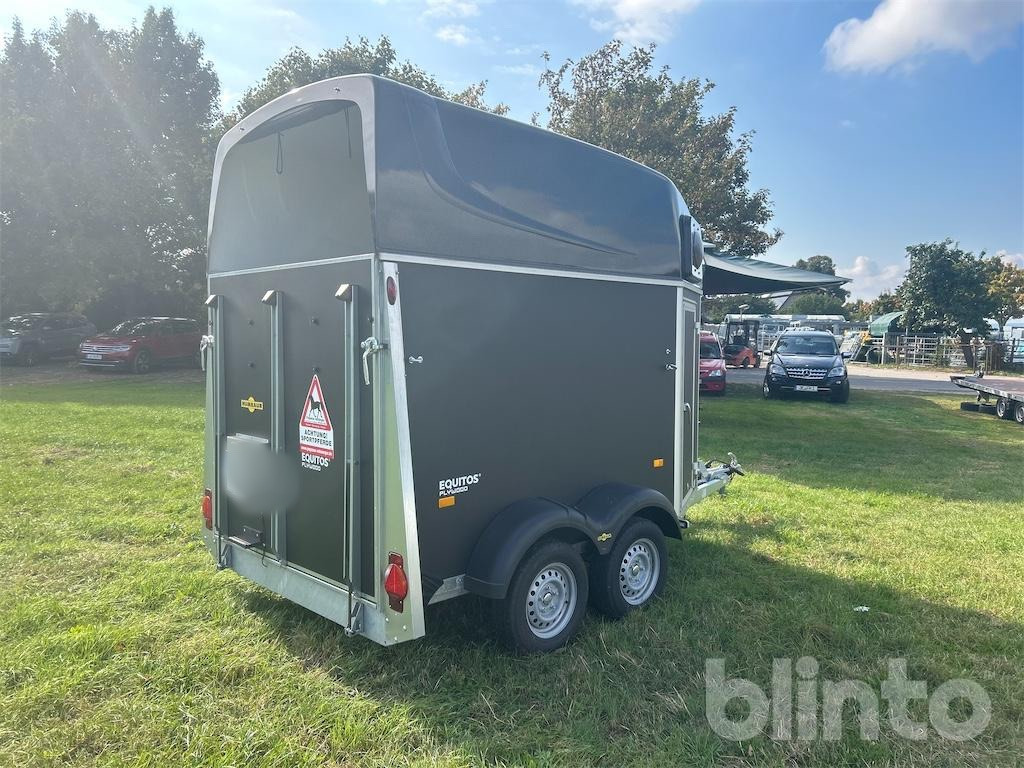 Humbauer Equitos Plywood (2025) - Van chevaux: photos 4 Humbauer Equitos Plywood (2025) - Van chevaux: photos 4