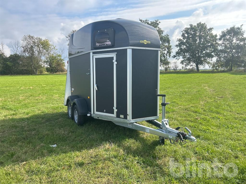 Humbauer Equitos Plywood (2025) - Van chevaux: photos 2 Humbauer Equitos Plywood (2025) - Van chevaux: photos 2